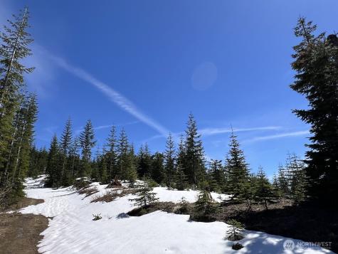 0 Spirit Lake Highway Skamania WA 98648