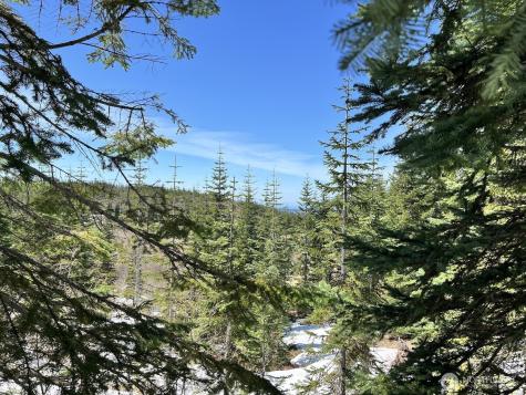 0 Spirit Lake Highway Skamania WA 98648