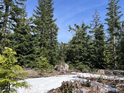 0 Spirit Lake Highway Skamania WA 98648