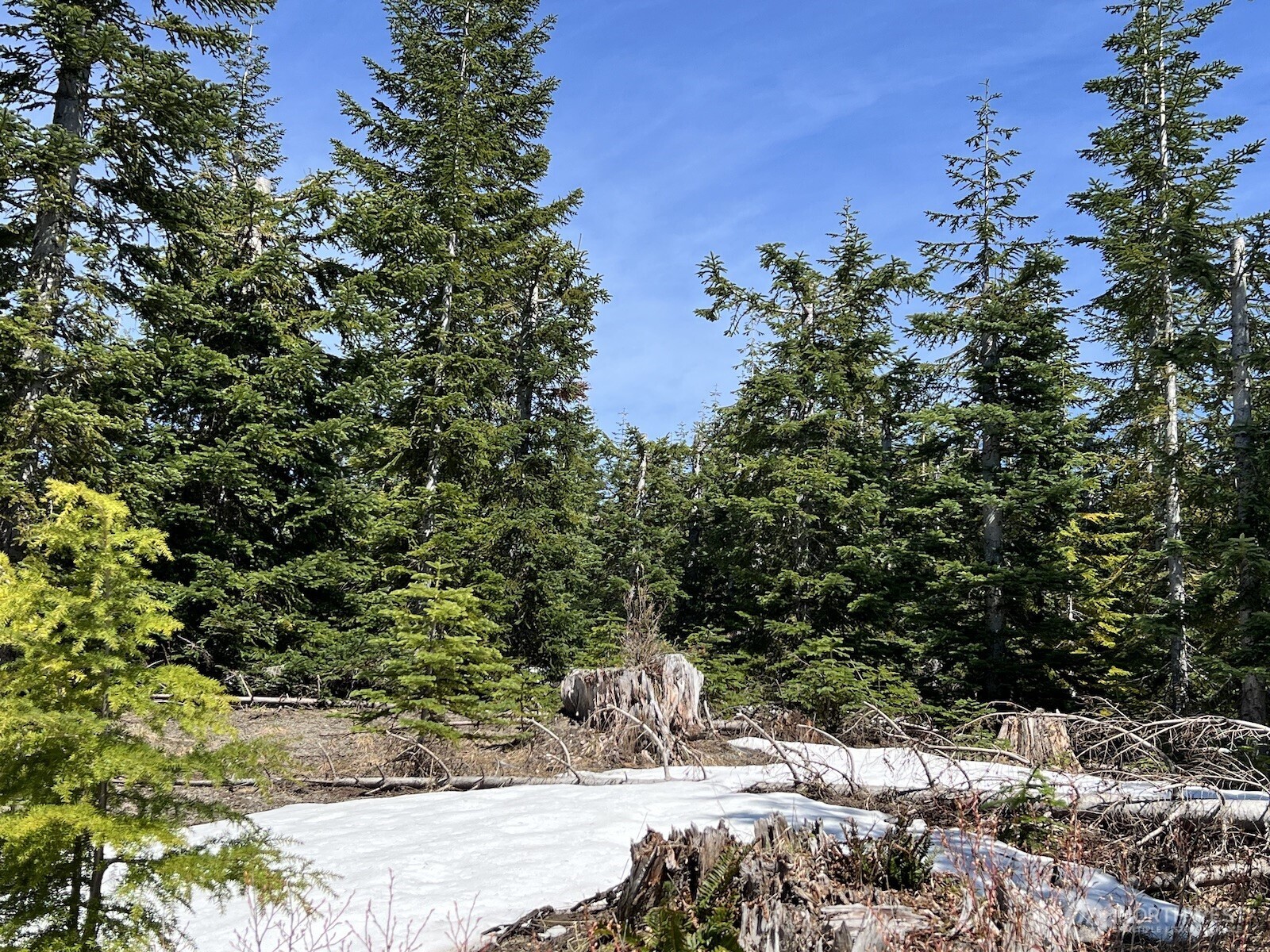 0 Spirit Lake Highway Skamania WA 98648