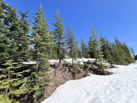 0 Spirit Lake Highway Skamania WA 98648