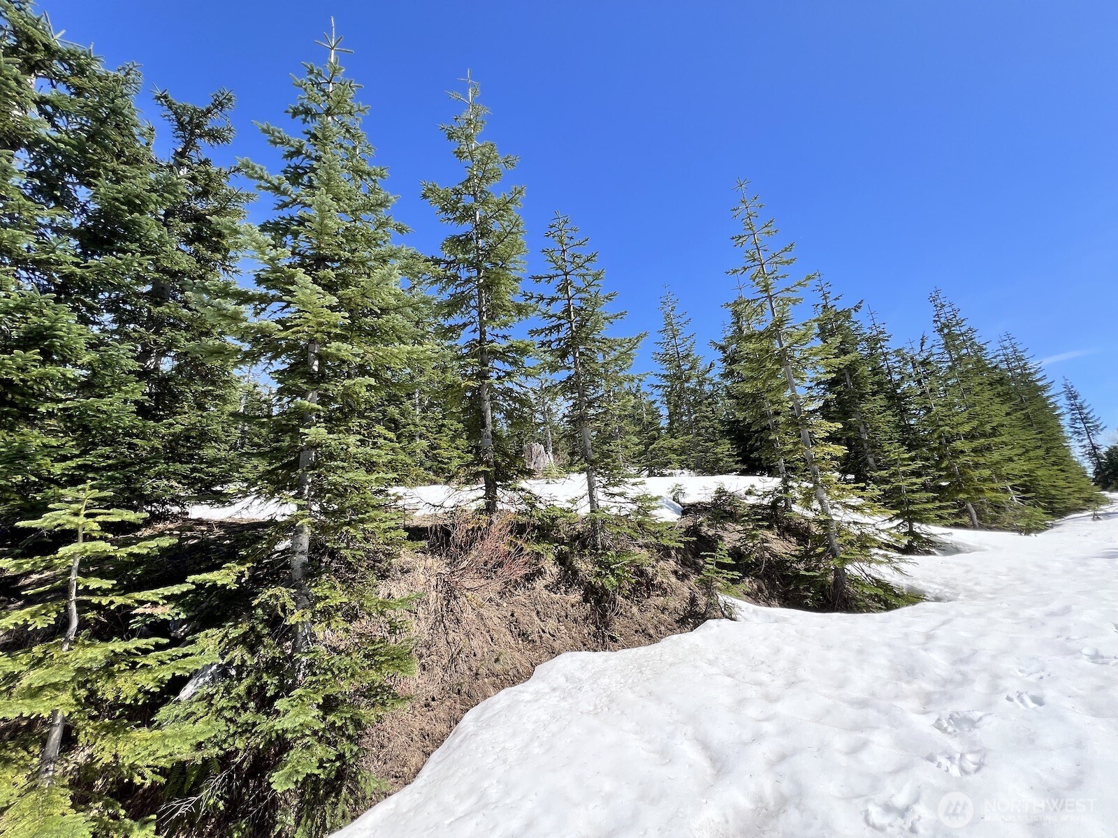 0 Spirit Lake Highway Skamania WA 98648