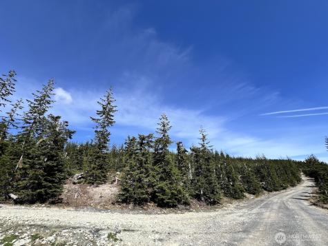 0 Spirit Lake Highway Skamania WA 98648
