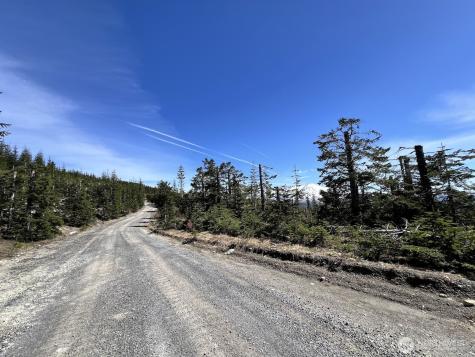0 Spirit Lake Highway Skamania WA 98648
