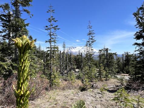0 Spirit Lake Highway Skamania WA 98648