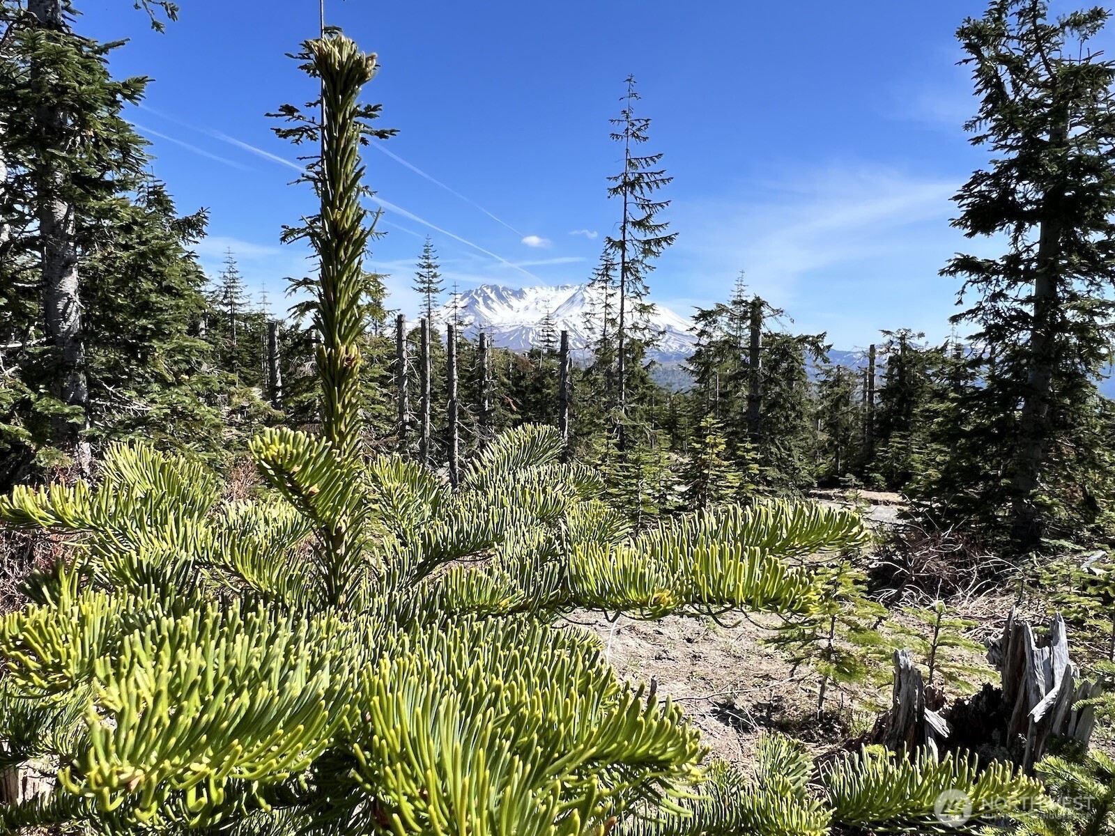 0 Spirit Lake Highway Skamania WA 98648