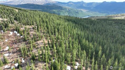 0 Spirit Lake Highway Skamania WA 98648