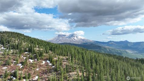 0 Spirit Lake Highway Skamania WA 98648