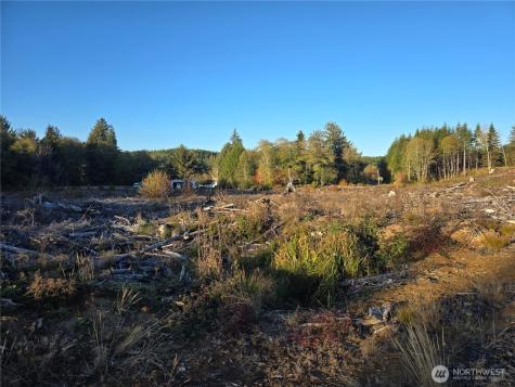 0 Smith Creek Road Raymond WA 98577