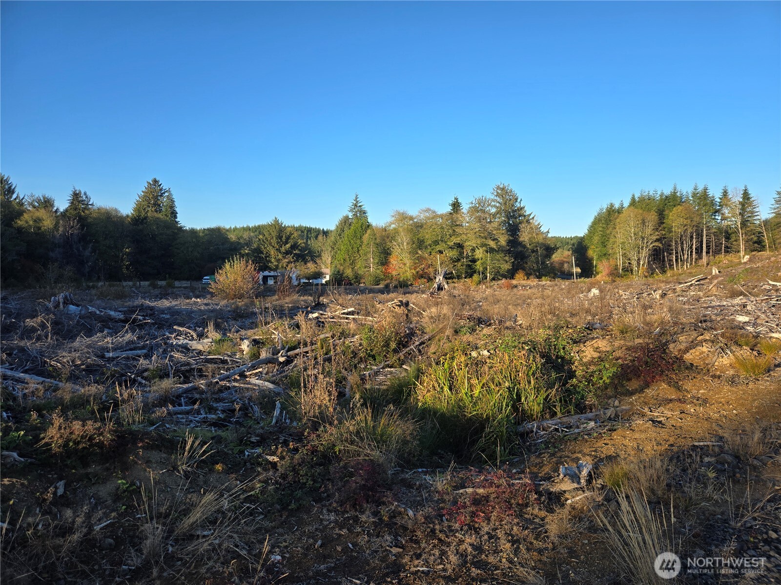 0 Smith Creek Road Raymond WA 98577