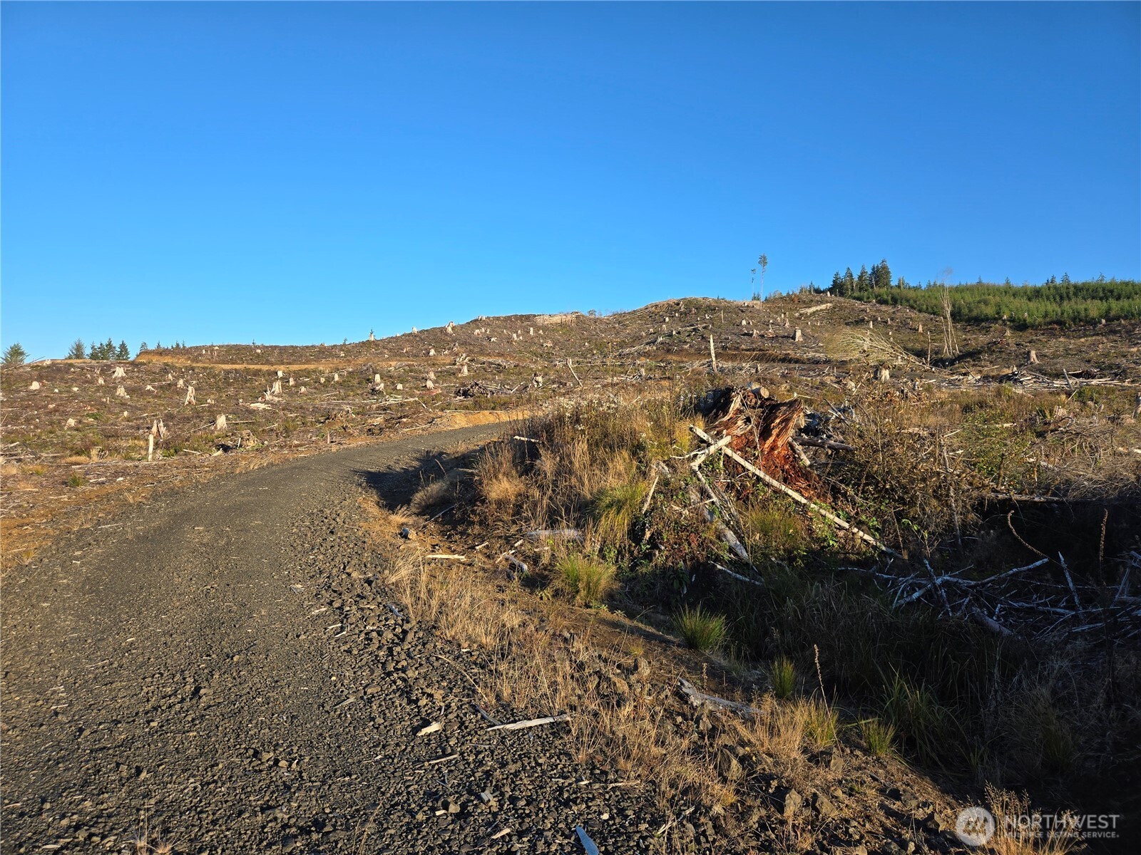 0 Smith Creek Road Raymond WA 98577