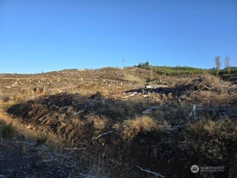 0 Smith Creek Road Raymond WA 98577