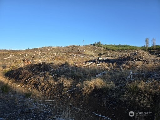 0 Smith Creek Road Raymond WA 98577