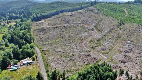 0 Smith Creek Road Raymond WA 98577
