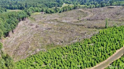 0 Smith Creek Road Raymond WA 98577