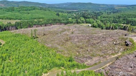 0 Smith Creek Road Raymond WA 98577