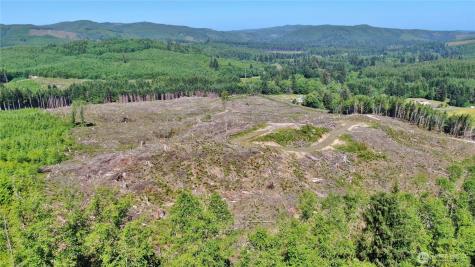 0 Smith Creek Road Raymond WA 98577