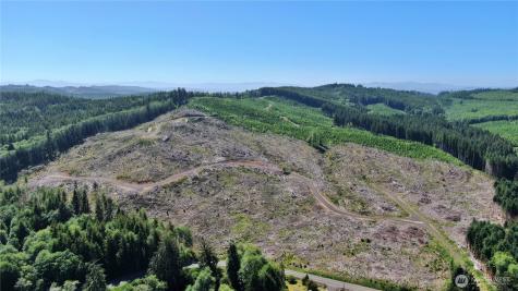 0 Smith Creek Road Raymond WA 98577