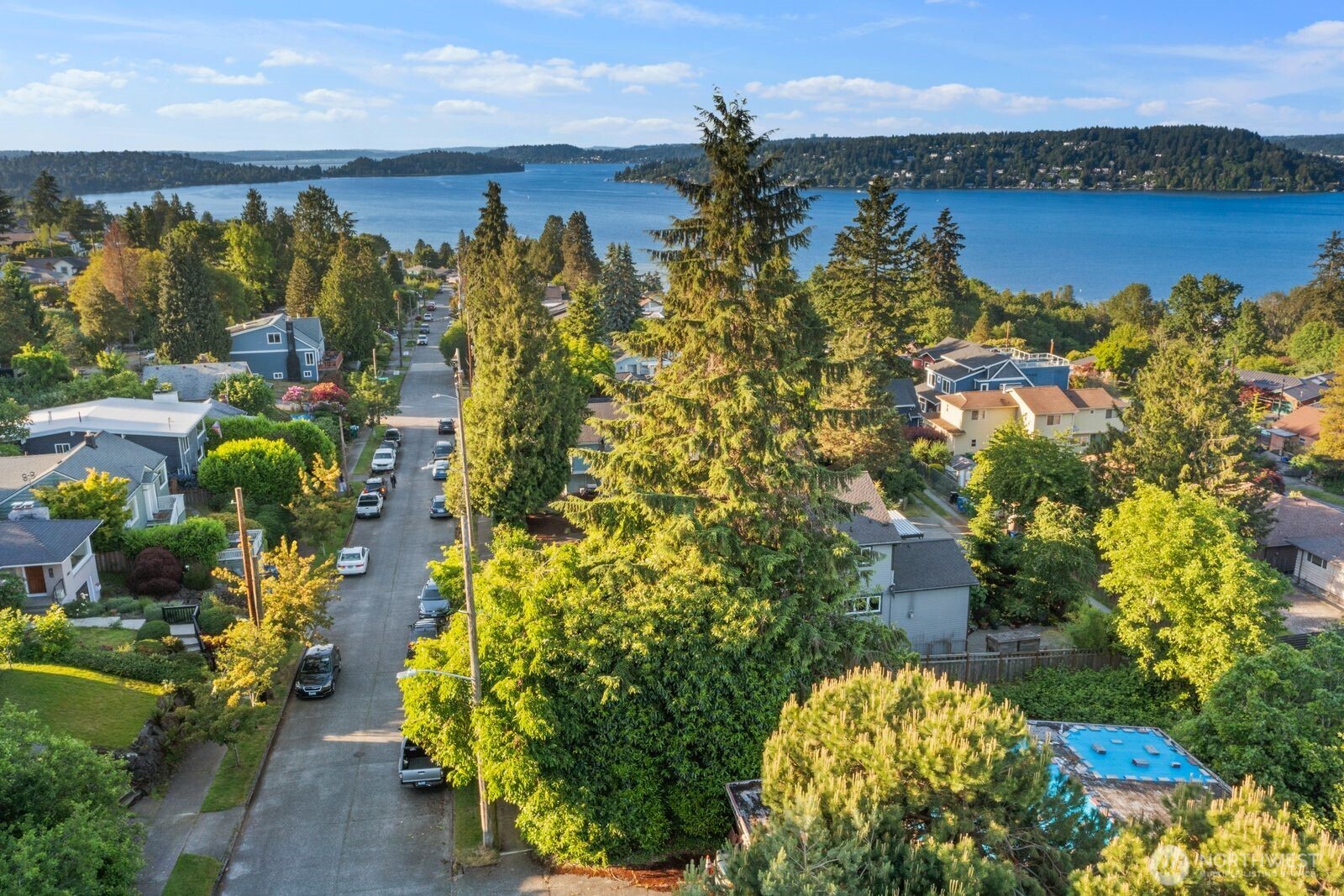 10428 66th Avenue S Seattle WA 98178
