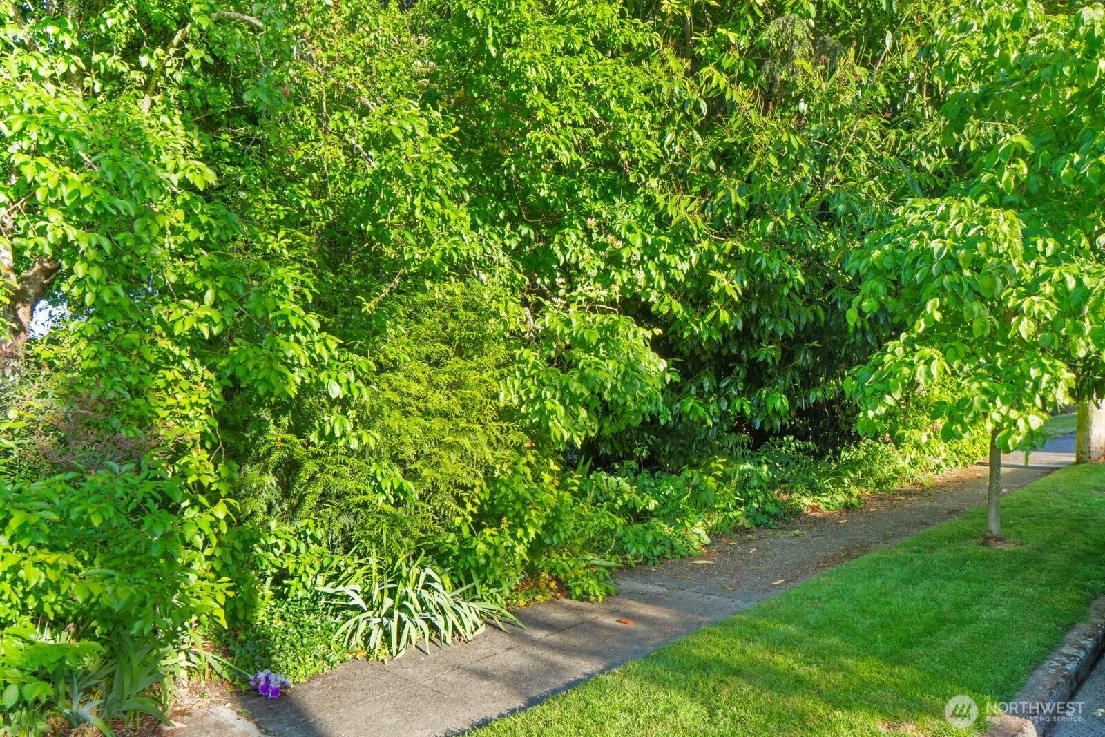 10428 66th Avenue S Seattle WA 98178