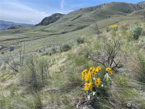 0 E Iowa Street Chelan WA 98816