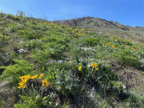 0 E Iowa Street Chelan WA 98816