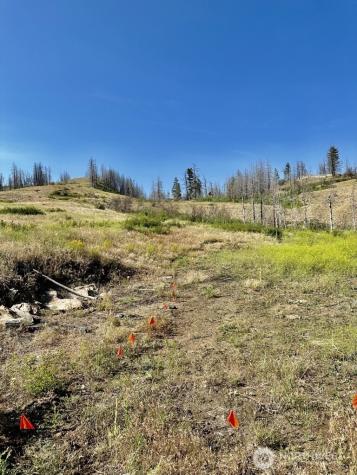 0 Eighme Road Oroville WA 98844