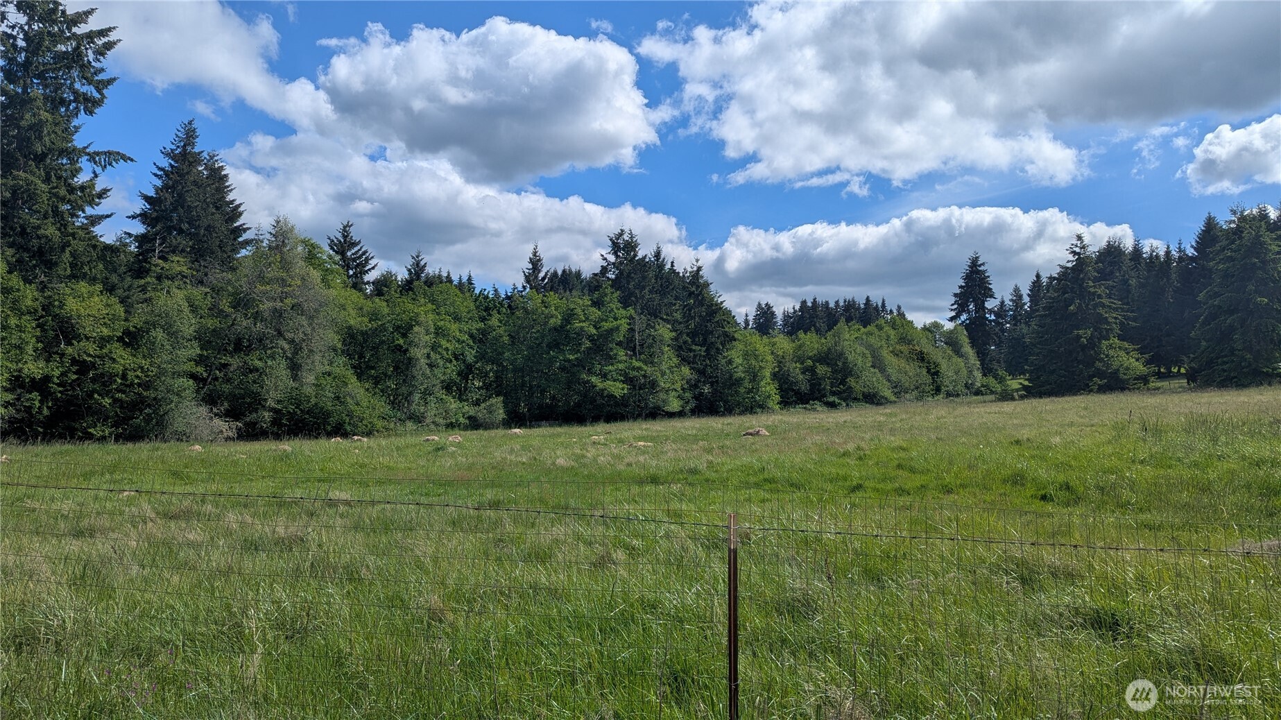 305 Penning Road Chehalis WA 98532