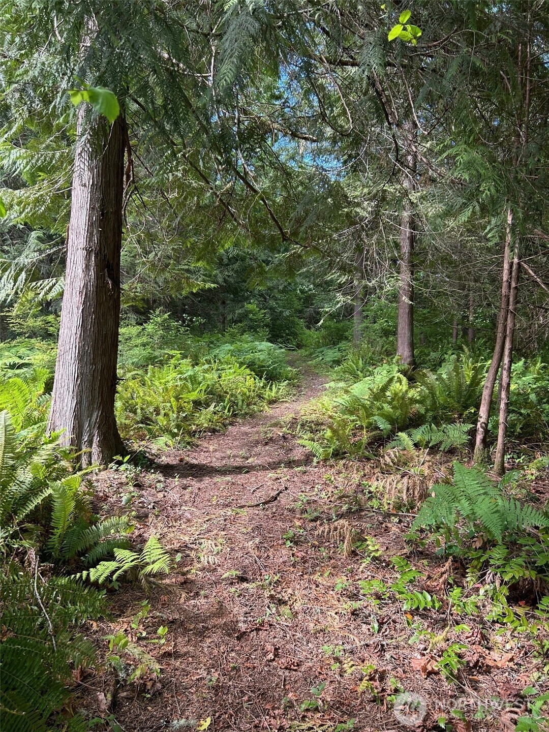 19545 Laurene Lane NW Poulsbo WA 98370