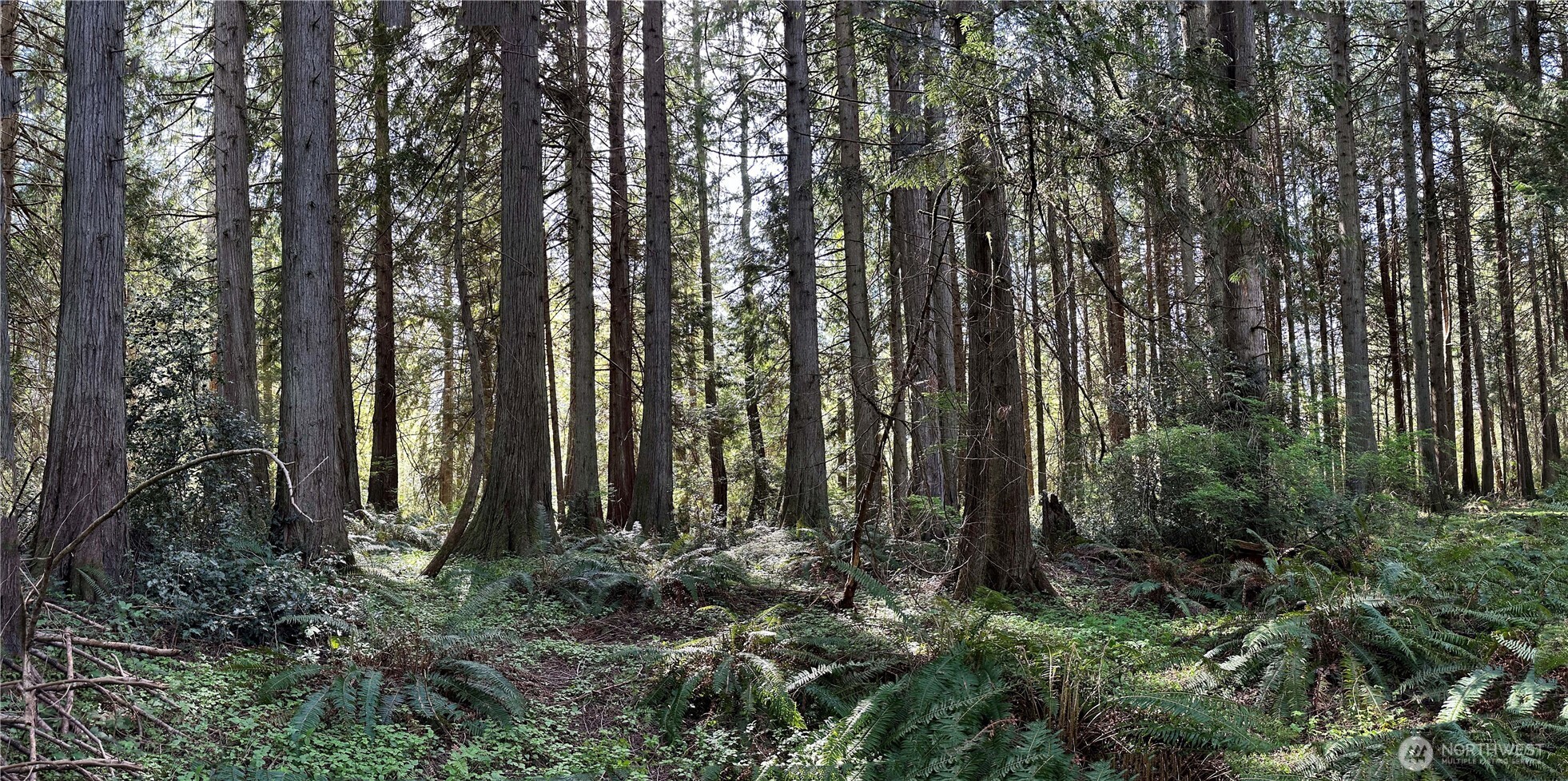 0 NW Lakeness Poulsbo WA 98370