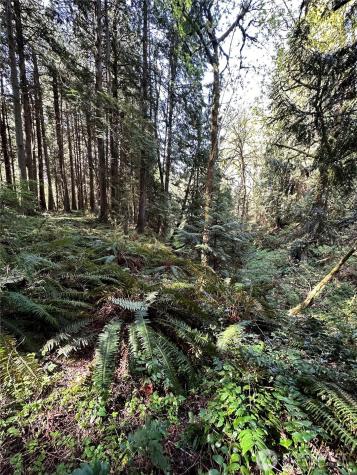 0 NW Lakeness Poulsbo WA 98370