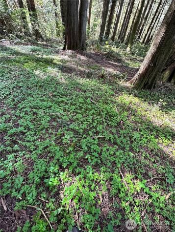 0 NW Lakeness Poulsbo WA 98370