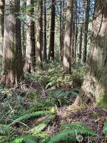 0 NW Lakeness Poulsbo WA 98370