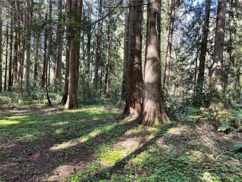 0 NW Lakeness Poulsbo WA 98370
