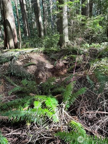 0 NW Lakeness Poulsbo WA 98370
