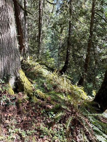 0 NW Lakeness Poulsbo WA 98370