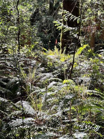 0 NW Lakeness Poulsbo WA 98370