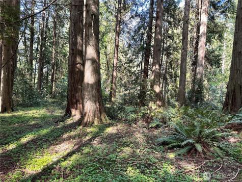 0 NW Lakeness Poulsbo WA 98370