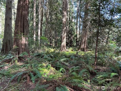 0 NW Lakeness Poulsbo WA 98370
