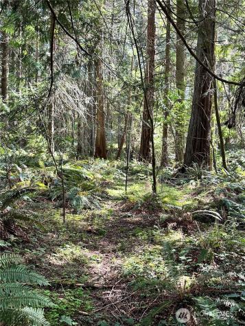 0 NW Lakeness Poulsbo WA 98370
