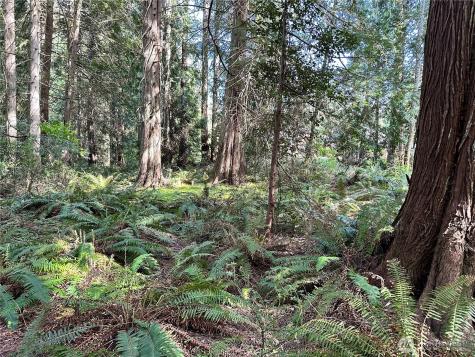 0 NW Lakeness Poulsbo WA 98370