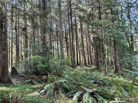 0 NW Lakeness Poulsbo WA 98370