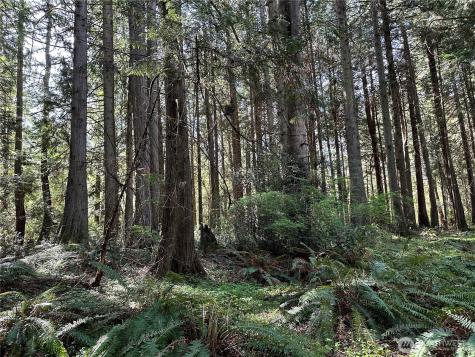 0 NW Lakeness Poulsbo WA 98370
