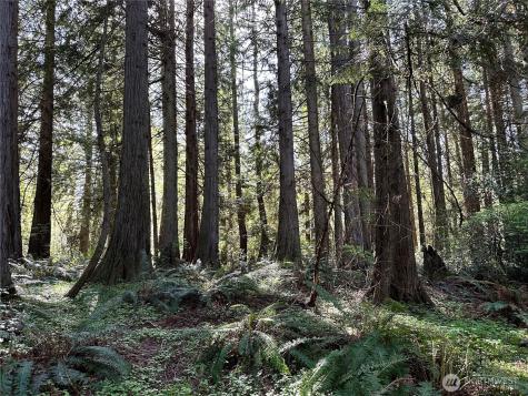 0 NW Lakeness Poulsbo WA 98370