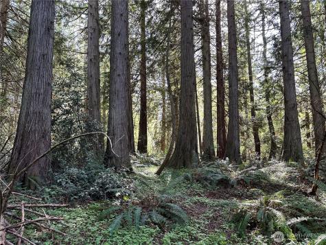 0 NW Lakeness Poulsbo WA 98370