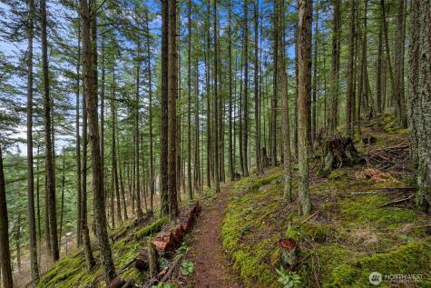 3073 Hales Passage Drive Lummi Island WA 98262
