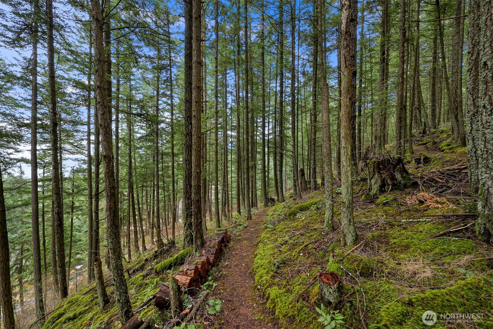 3073 Hales Passage Drive Lummi Island WA 98262