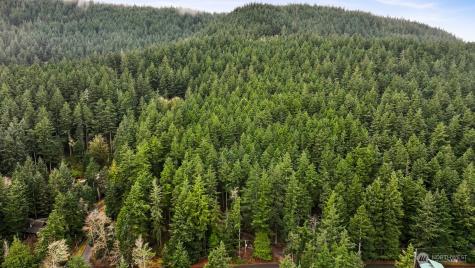3073 Hales Passage Drive Lummi Island WA 98262