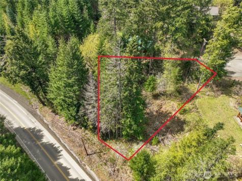 0 Terrace Way Packwood WA 98361