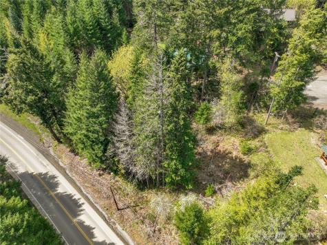 0 Terrace Way Packwood WA 98361